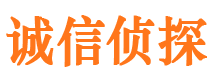 武乡外遇调查取证